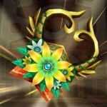 花拳