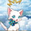 きゃと